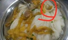 学生爆料食堂饭菜视频,学生爆料饭菜实况，引发网友热议